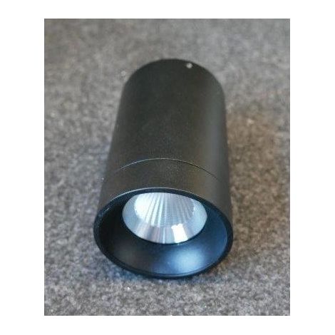Plafonnier projecteur saillie LED 11.5W alu blanc fixe Ø 75x125mm 3000K 815lm 36° 230V non-dimmable IP54 Spacetube R Planlicht