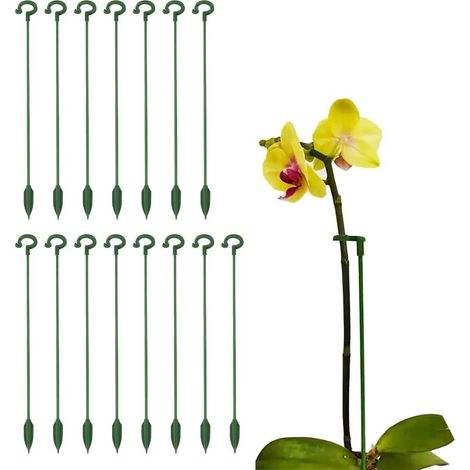 15 Pièces Tuteur Plante Interieur, 27cm Tuteurs pour Plantes, Tuteur Monstera Deliciosa, Protégez Plantes de Inclinaison, pour Plantes, Amaryllis, Fleur, Rose, Lys, Pivoine (1/5)