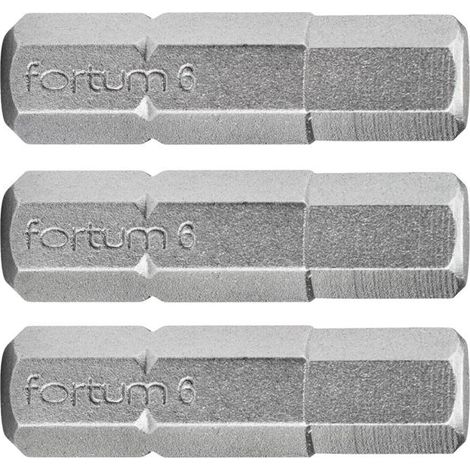Juego de 3 puntas Allen FORTUM, 5 x 25 mm, S2 4741506