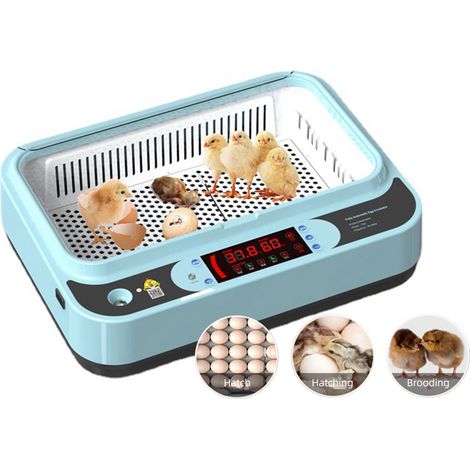 Incubateurs à œufs pour l'incubation des œufs en Fahrenheit avec retournement automatique, incubateurs pour poulets et volailles de ferme (1/5)
