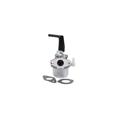 Carburateur Compatible avec Briggs &Stratton 696065 697422 110402 110412 215369 Motoculteur Pièces de Rechange Carburateur Carb H418