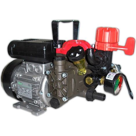 Pompa Elettrica Annovi Reverberi AR 252 EM 220 Volt Irrorazione (1/3)
