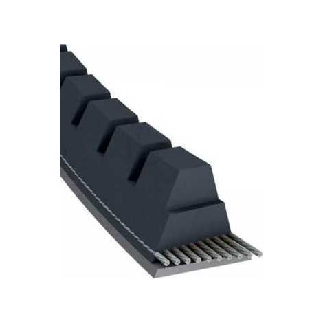 Courroie tondeuse XPZ800 trapézoïdale crantée  9,7 x 812 mm (1/5)