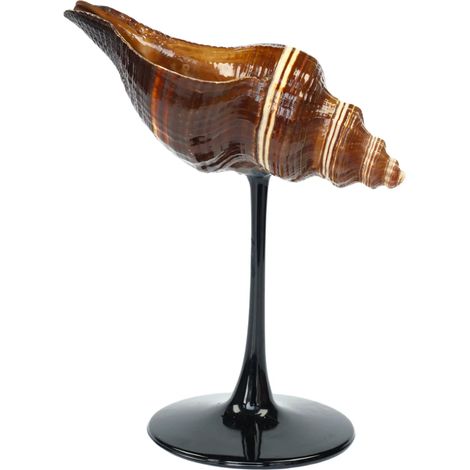 Verre à vin à pied en coquillage naturel, verre artistique en coquillage irrégulier, décoration intérieure.