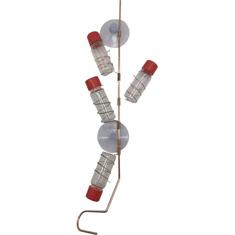 Mangeoire à Oiseaux de Fenêtre, Mangeoire à Oiseaux de Fenêtre pour Animaux, Décoration en Verre à Ventouse