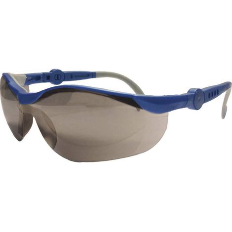 Leipold-Doehle UPIXX 26752 gafas de protección azul y gris