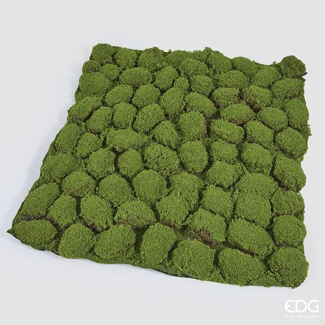 EDG Enzo De Gasperi Muschio Tappeto Artificiale H 5 Cm L 100 cm L 100 Cm Verde