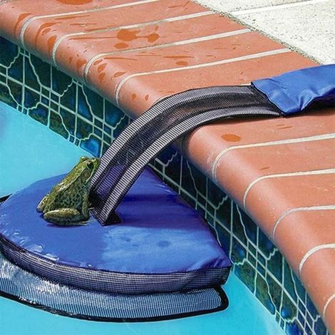 Rampe Évacuation Piscine, Sauvetage Grenouilles Tortues, Accessoire Petits Animaux (1/4)