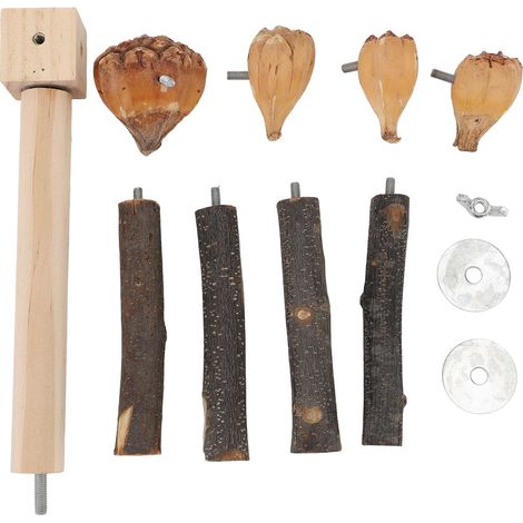 Perchoir rotatif pour perroquet, jouet d'entraînement interactif, support d'oiseau en bois, exercice avec mastication pour Cage (1/5)