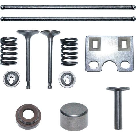 Kit de ressort de soupapes d'admission et d'échappement pour moteur à essence Honda GX390 GX340 188F 13/11HP Remplace 14410-ZE3-013 (1/5)