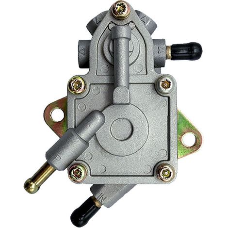 [French Days]Pompe à Essence Moto Compatible avec Buyang Feishen D300 H300 G300 300cc JCL Linhai 260cc 260 Manco Talon ATV Quad (1/5)