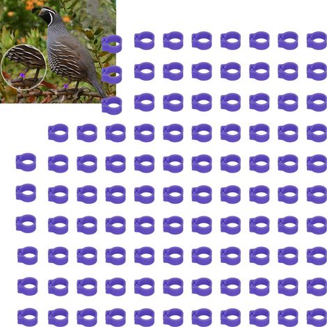100 Bagues de Patte 8mm pour Pigeons, Bagues d'Identification pour Volaille, Accessoires pour Colombophiles, Violet