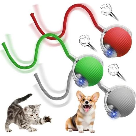 Jouet pour Chat - Boule Magique - Silicone - Interactif - Évitement d'obstacles - Intérieur (1/5)