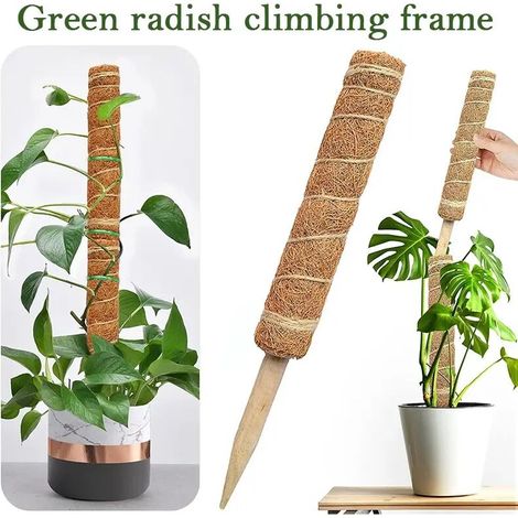 Tuteur en fibre de coco (50 cm) pour plantes grimpantes, idéal pour le jardinage et le soutien des plantes grimpantes, vignes et lianes.