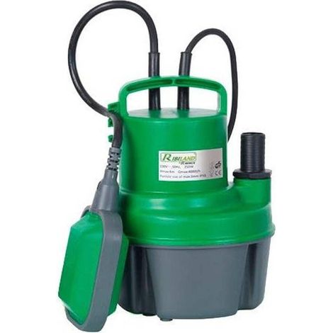 Pompe Vide Cave 250W - Eaux Claires avec Flotteur - Performance et Fiabilité - D-Work