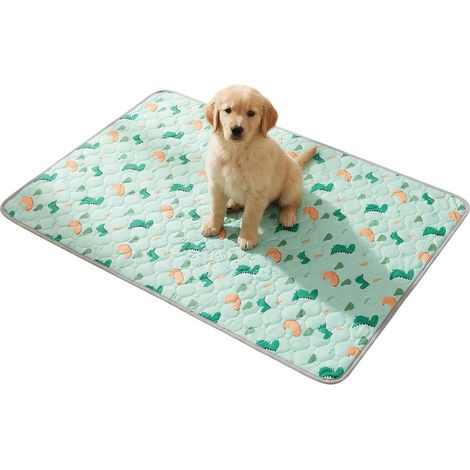 Lot de 2 Tapis pour Chien Lavable Antidérapant, 45x60CM Tapis Propreté Chien, Tapis de Propreté Chiot Réutilisable, Tapis Educateur Chien Ultra Absorbant, pour Caisse, Sol, Canapé, Siège d'Auto (Vert) (1/5)