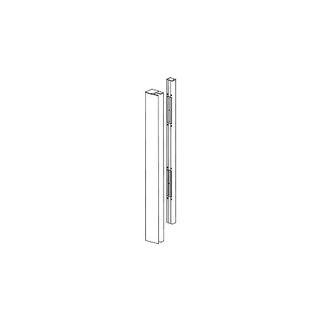 Ventouses électromagnétiques sur profil, 2 x 300 kg en 2500 mm noir - DORMAKABA
