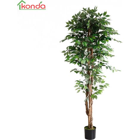 C PIANTA FICUS ARTIFICIALE 210 CM- 2,0 pz