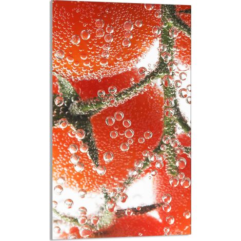 Tabla de cortar de vidrio 30x52 Tomate (1/5)