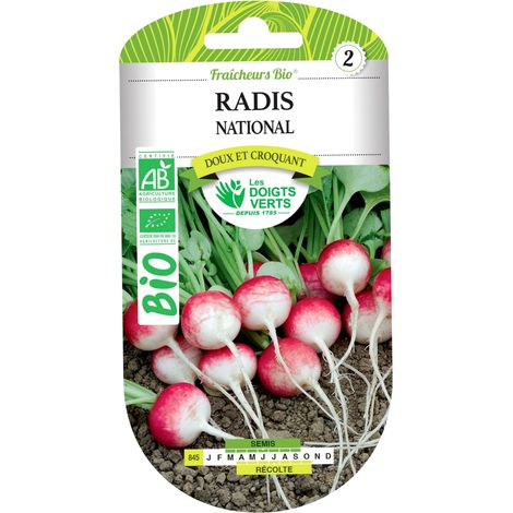 Semillas de rábano orgánicas Les Doigts Verts (1/2)