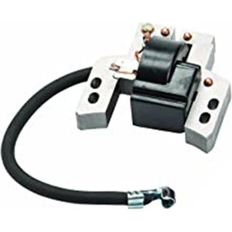 Accensione elettronica motore Briggs&Stratton 2T Quantum Power, Intek compatibile