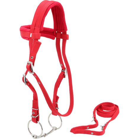 Bride rouge réglable pour cheval, harnais, têtière, mors amovible avec coussinet souple (1/5)