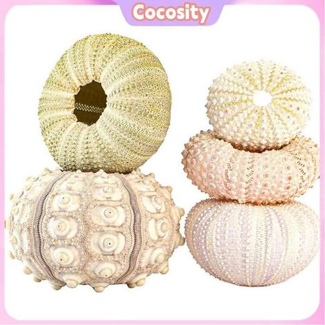 Cocosity Pots de jardinières amusants Lot De 5 Pots De Fleurs Décoratifs Suspendus Amusants Et piscine essence Ensemble 4 pièces (1/5)