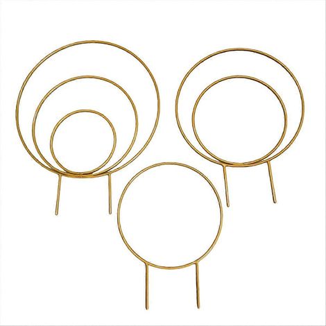 Intérieur rond plante Trellises pour Climbing Houseplants métal Frames B (1/5)