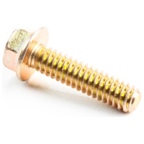 Vite motore BRIGGS ET STRATTON 691148