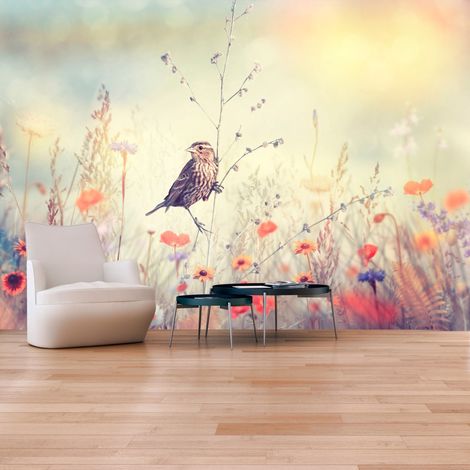 Fotomurale adesivo - Field Bird - 294x210 (1/4)
