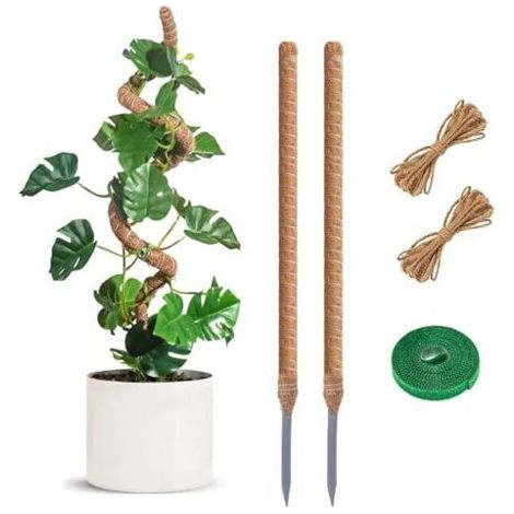 2Pcs Tuteur Plante 60Cm Pliable en Coco Support pour Plantes Grimpantes Extendable pour Jardin Maison (1/4)