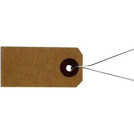 Etiquettes kraft avec fil métallique - 4 x 2 cm