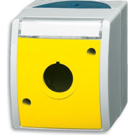 Plaque de finition Busch-jaeger 2533 wn-15-53 mate IP44