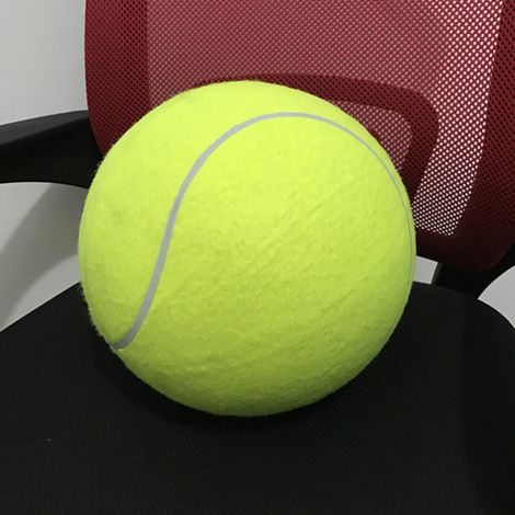 24 cm Riesentennisball, aufblasbarer Tennisball, Haustierspielzeug, Signature Haustierspielzeug (1/5)