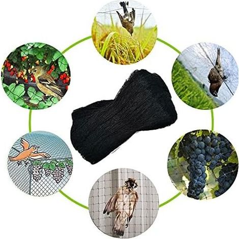 Filet Anti Oiseaux Noir 4m x 10m - Protection Cerisiers, Arbres Fruitiers & Légumes pour Le Jardin - Empêche Les Dommages des Oiseaux (1/4)