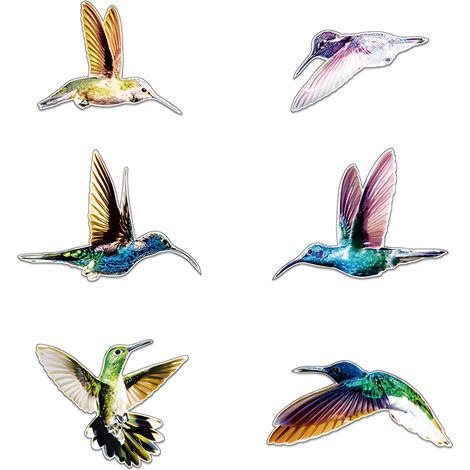 Autocollant Fenêtre Sans Colle - Oiseau Colibri - Pour Vitre Intérieure Extérieure - Anti-Collision Oiseaux - 6 Pièces (1/5)