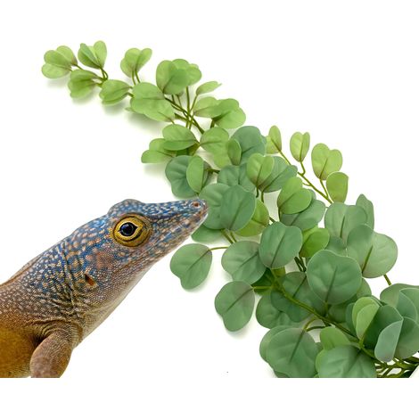 BioBush Nr. 4 künstliche Tropenpflanze für Terrarien Eukalyptus (1/5)