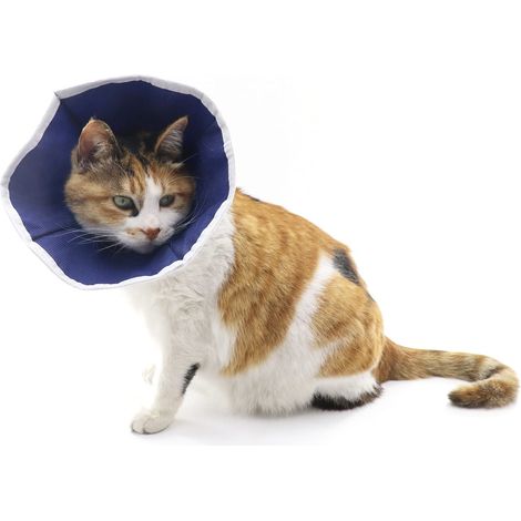 Collier de récupération souple pour chats, collier conique pour chat
