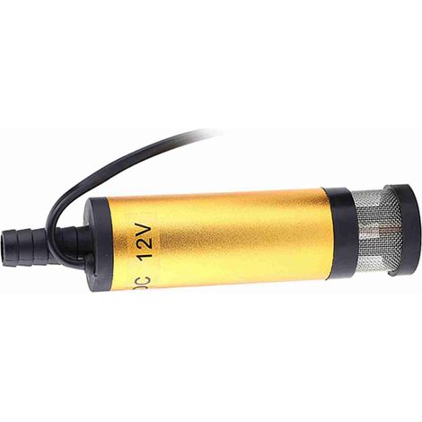 Pompe immergée en acier inoxydable pour eau gazole kérosène outil transfert (12V DC doré) (1/5)
