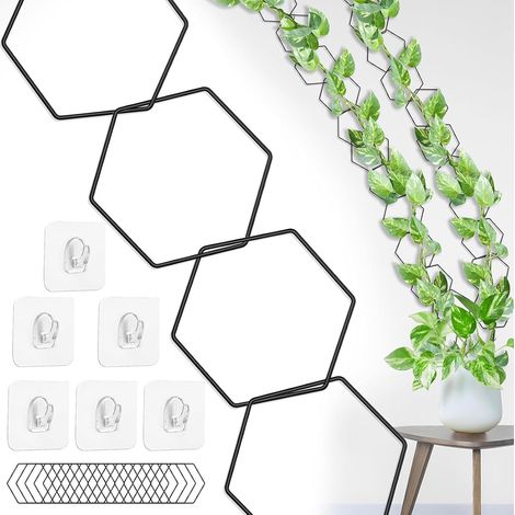 Chain Trellis for Climbing Plants - Wall Mount for Pothos, Monstera, Hedera - Indoor Planters (1/5)