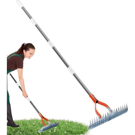 Ancinho De Palha De Metal, Com Cabo, Para Jardim. (1/5)