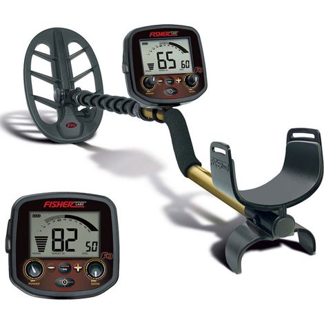 Détecteur de métaux Fisher F19 DD 27CM (1/3)