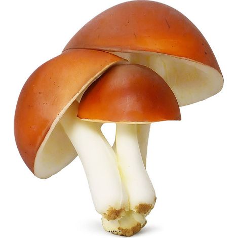 Champignons artificiels Shiitake X3 mousse PU superbe (1/3)