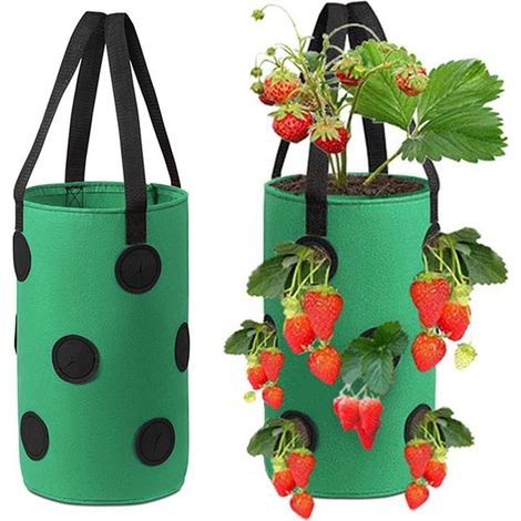 Sac De Plantation Fraises,2 Pièces Sac Culture Fraises,Sacs de Plantation de Jardin,Sac de Culture de Fraises en Non Tissé, Sac à Fraisiers,pour Fraises, Herbes, Fleurs (3Gallon, 20x35CM) vert