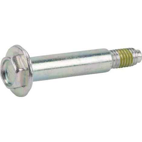 Vis BRIGGS ET STRATTON 591307