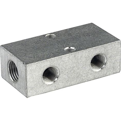 Riegler Verteilerleiste, Abgänge beidseitig, 2 x 1/8, 2 + 2 x M5, Alu (1/4)