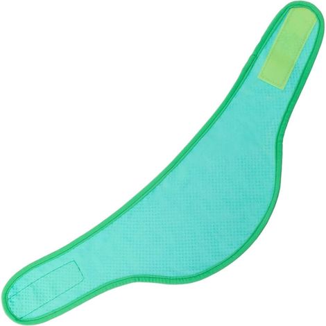 Écharpe rafraîchissante pour chien, wraps, collier rafraîchissant multifonctionnel pour les promenades estivales, les jeux, le repos et le sommeil, S (1/5)