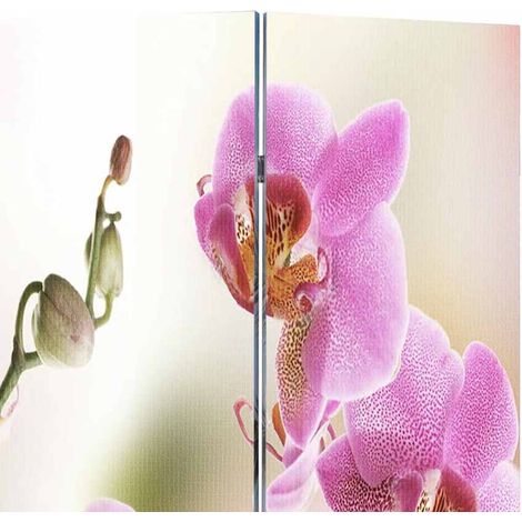 Paravent Cloison de séparation pliable, Pour Jardin, Balcon, Terrasse 217x170 cm Fleur OIB8478E (1/5)