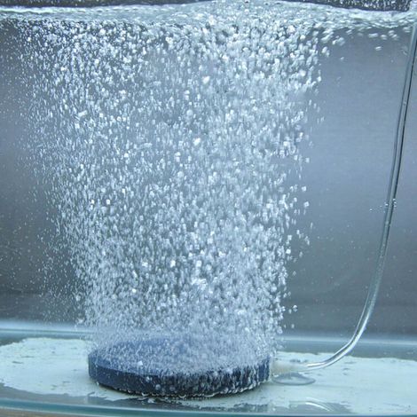 Pierre à Bulles d'Oxygène pour Aquarium 4cm Augmentation de l'Oxygène dans le Réservoir de Poissons-AUTRES (1/2)