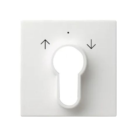 Gira Tapa Interruptor/pulsador llave System 55 Blanco puro m [066427], 0664 27